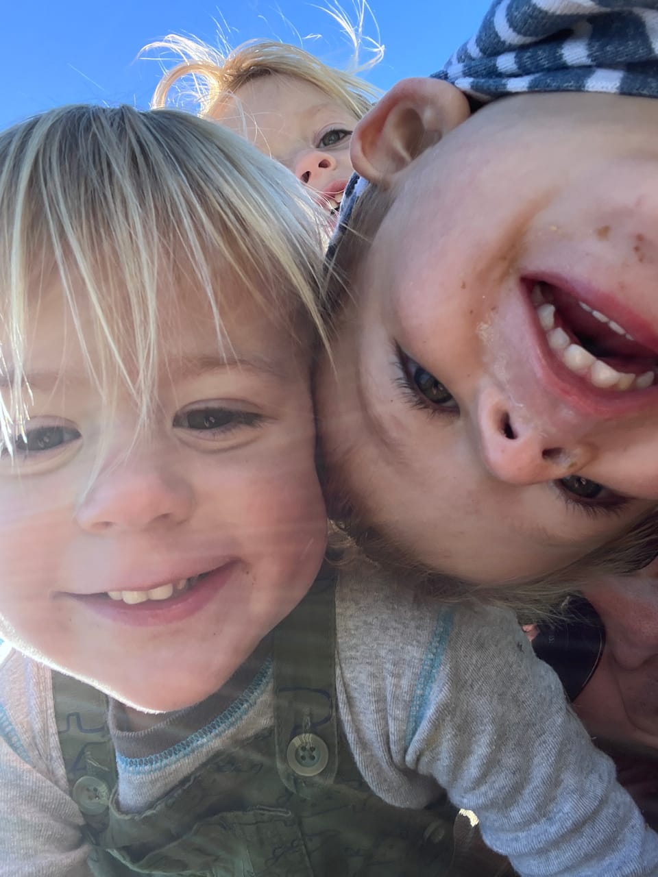 this week in multiples mayhem